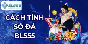cách tính số đá bl555